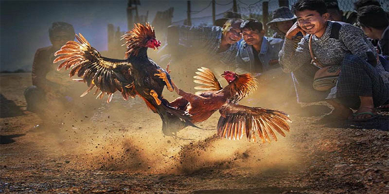 33wim chơi bắn cá đổi thưởng