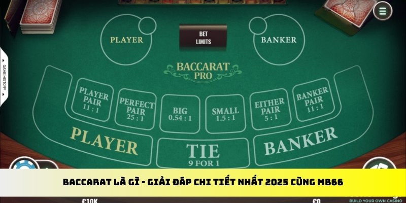 33wim gà chọi cu cần