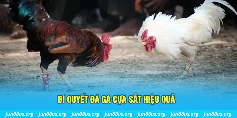 33wim xin 1 slot là gì