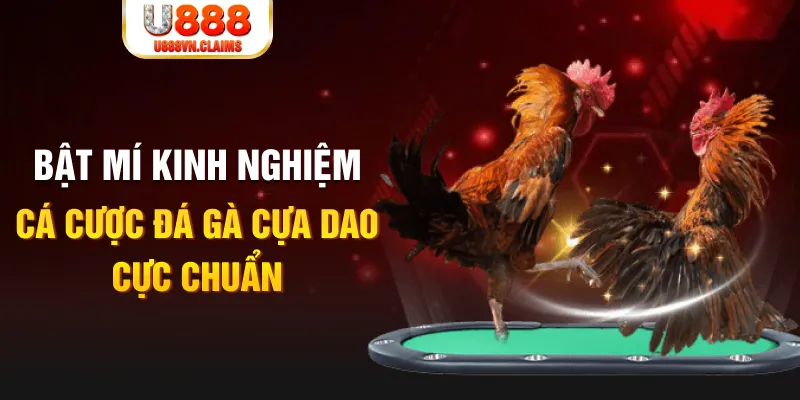 33wim tỷ lệ cá cược châu á là gì