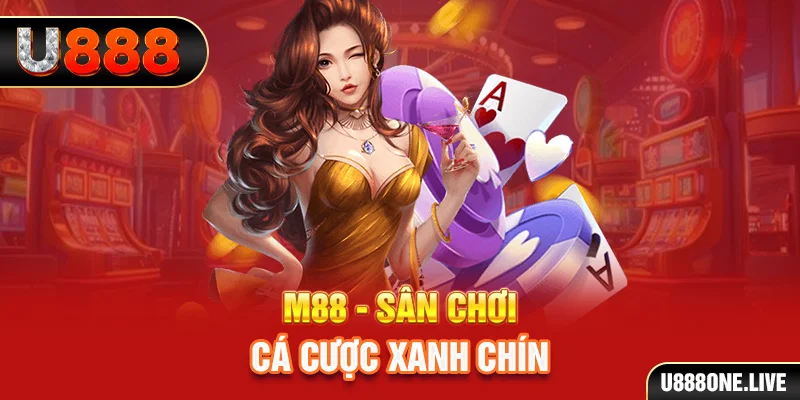33wim xổ số miền nam hàng tuần