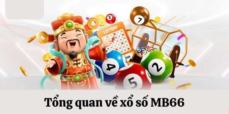 33wim da ga