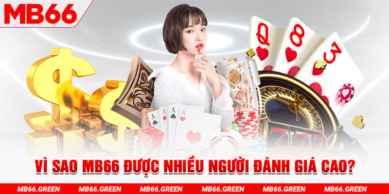 33wim đá gà