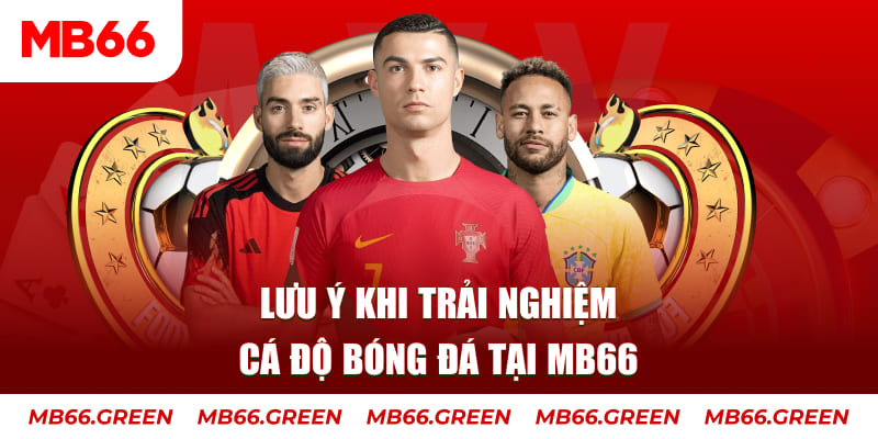 33wim cá cược là gì