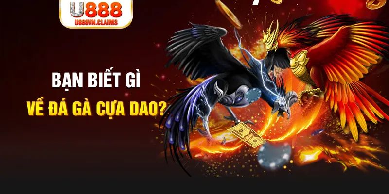 33wim nổ hủ là gì