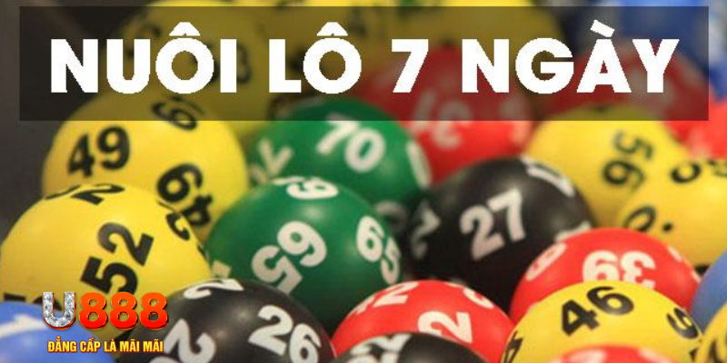 33wim slot là j