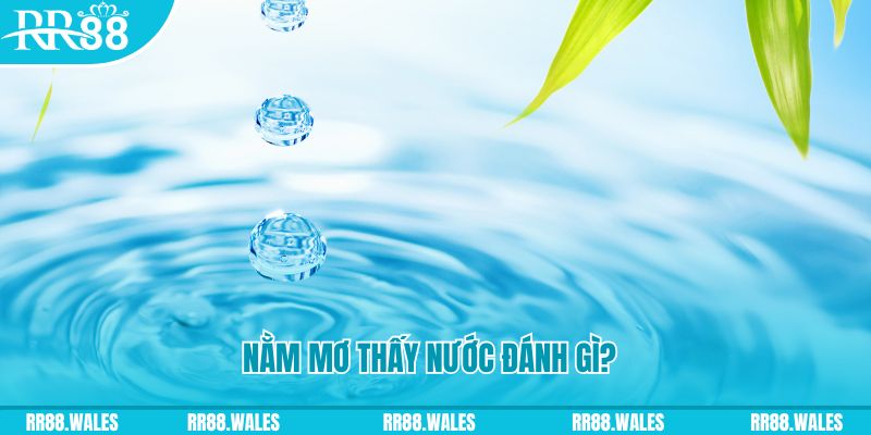 33wim TP Bắn cá