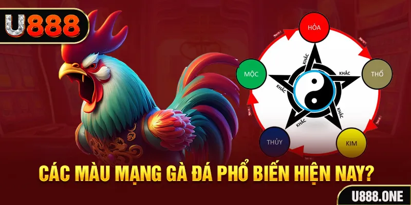 33wim trực tiếp đá gà 88