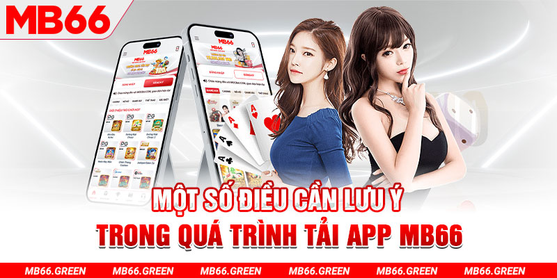 33wim c1 gà chọi