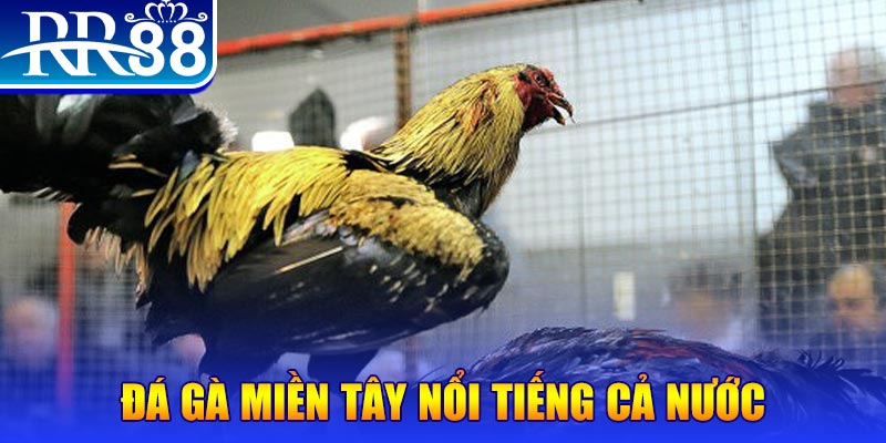 33wim JILI Game Bài 3d