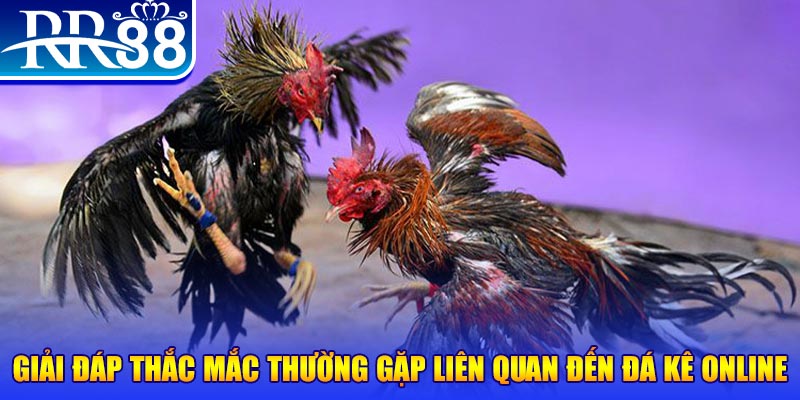 33wim slot machine là gì
