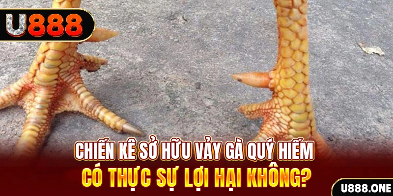 33wim nohu .mx nổ hủ là gì