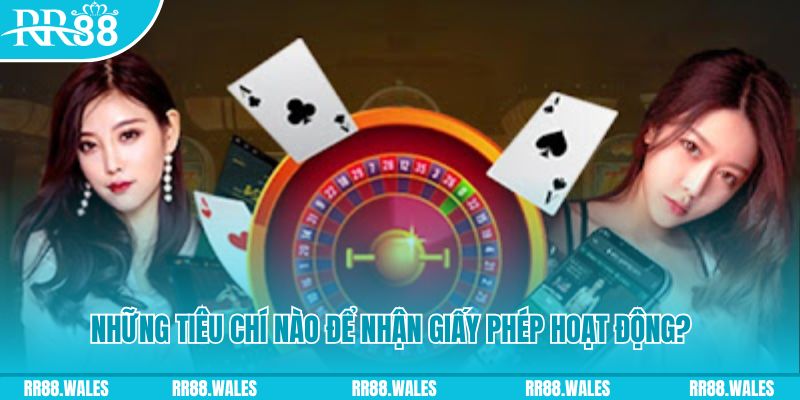 33wim hơn cả bạn bè