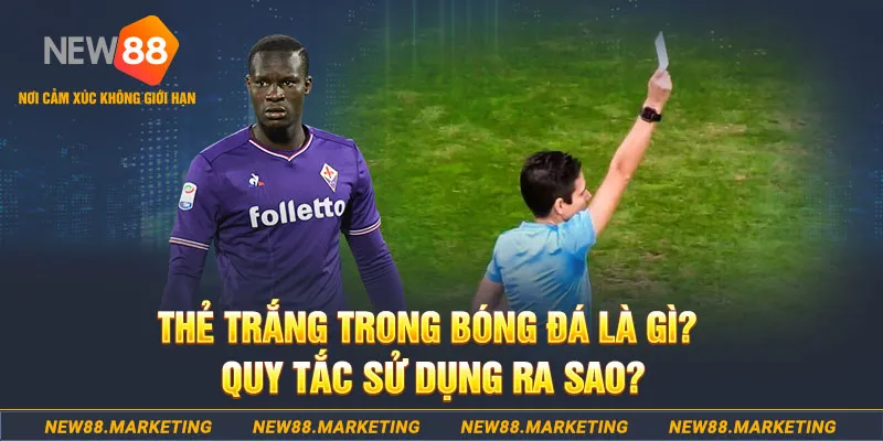 33wim gà chọi mộc hóa