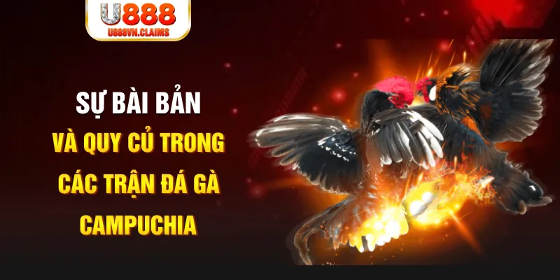 33wim YGR Điện Tử