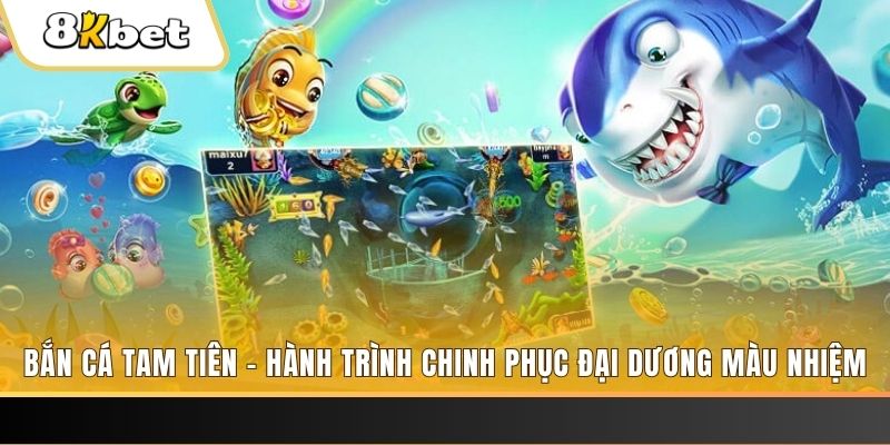 33wim xổ số bình định