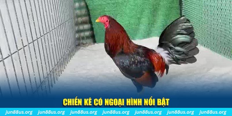 33wim chạy quảng cáo cho game bài bị phạt như thế nào