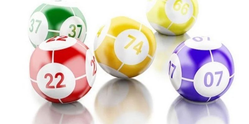 33wim RTG Điện tử
