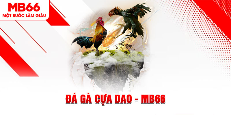 33wim đá gà sv388 gold